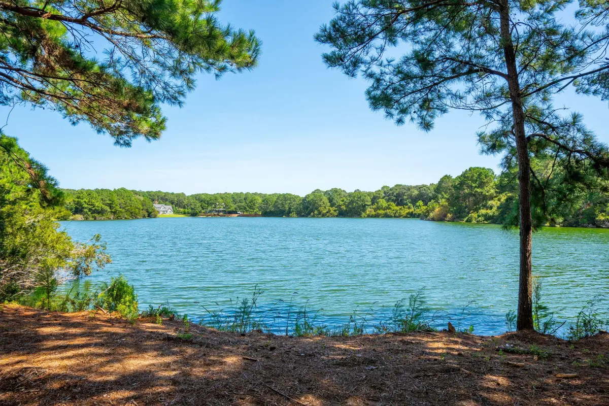 4031 Gnarled Oaks Lane, Johns Island, SC 29455 - #1