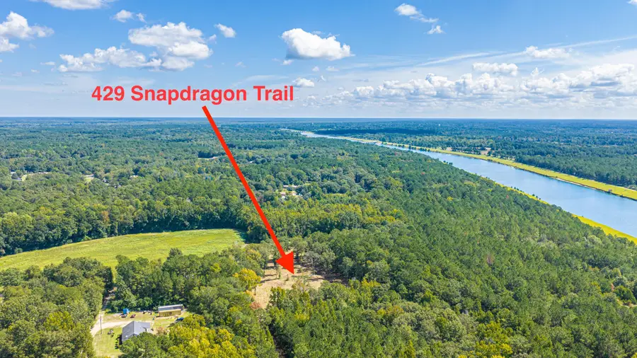 429 Snapdragon Trail, Saint Stephen, SC 29479 - #3