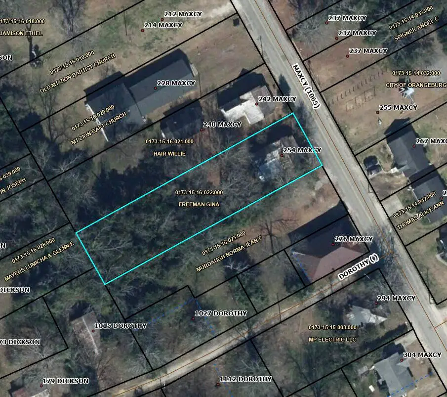 254 Maxcy Street, Orangeburg, SC 29115 - #1