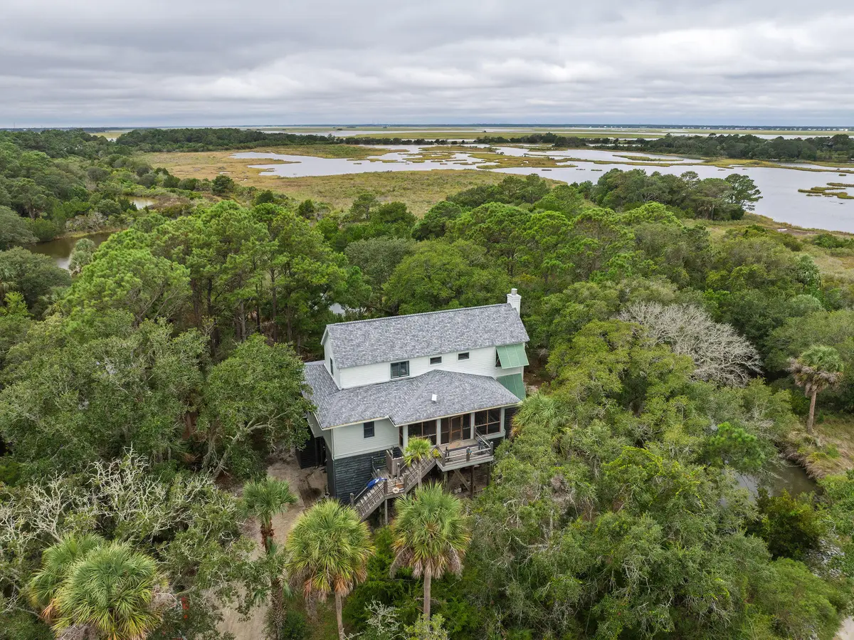 312 Pelican Flight Drive, Dewees Island, SC 29451 - #1