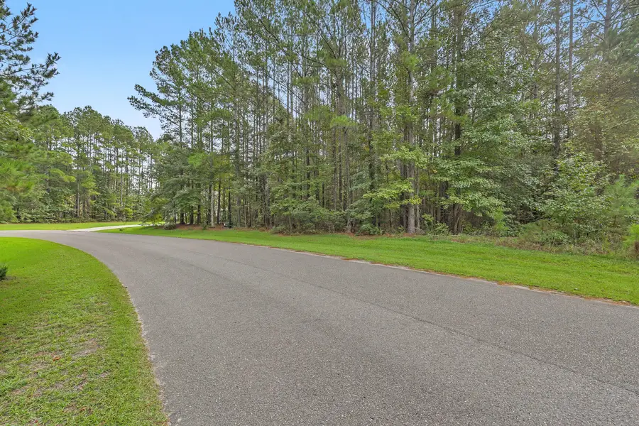 V/L Plantation Overlook Drive, Moncks Corner, SC 29461 - #2