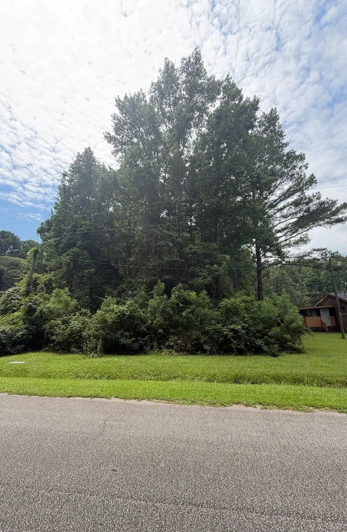 1017 Rosa Green Road, Awendaw, SC 29429 - #1