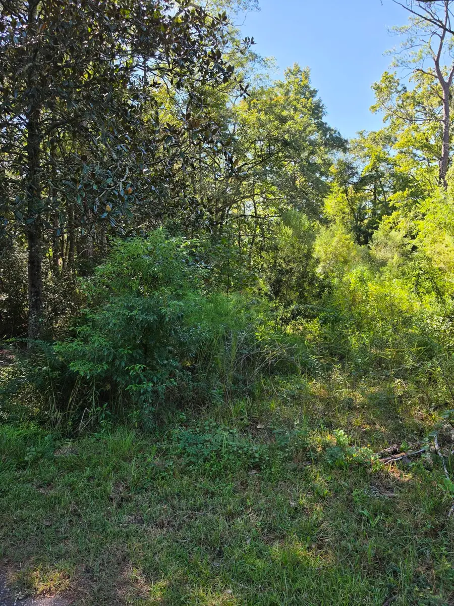 206 Foster Street, Summerville, SC 29483 - #2