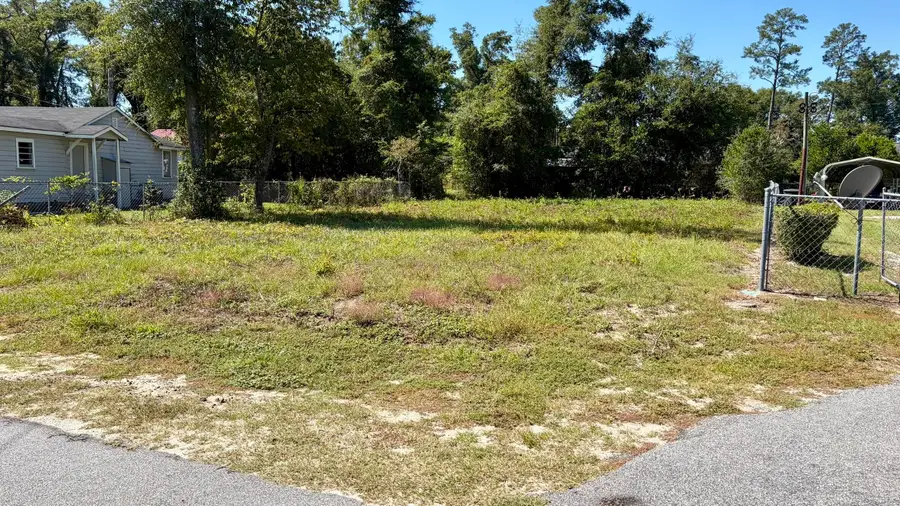105 Carver Street, Walterboro, SC 29488 - #3