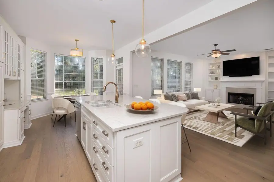 1044 Black Rush Circle, Mount Pleasant, SC 29466 - #3