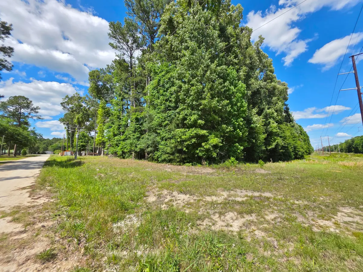 920 Shane Lane, Moncks Corner, SC 29461 - #1