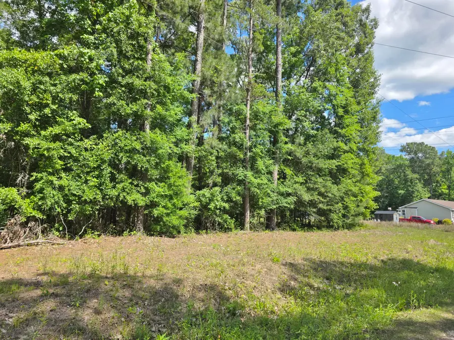 920 Shane Lane, Moncks Corner, SC 29461 - #3