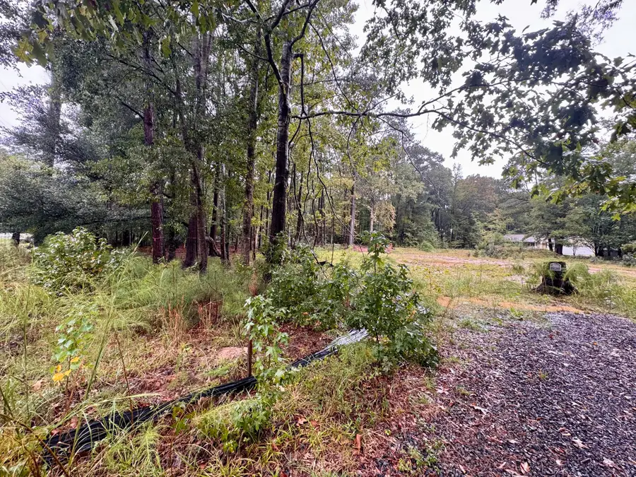 300 Summerset Lane, Summerville, SC 29483 - #3