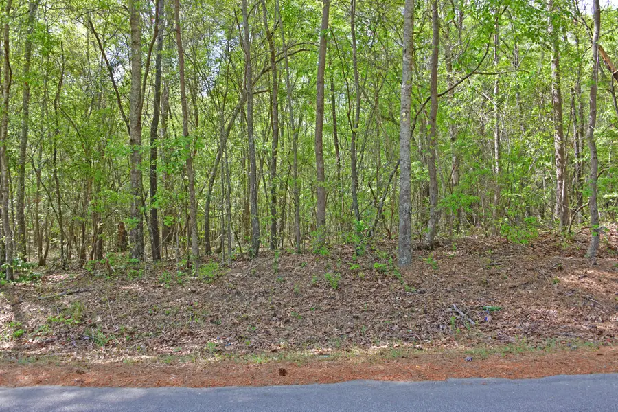 0 Ridgelake(lot 8,9,10,11) Circle, Saint Matthews, SC 29135 - #2