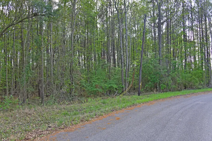 0 Ridgelake(lot 35) Circle, Saint Matthews, SC 29135 - #2