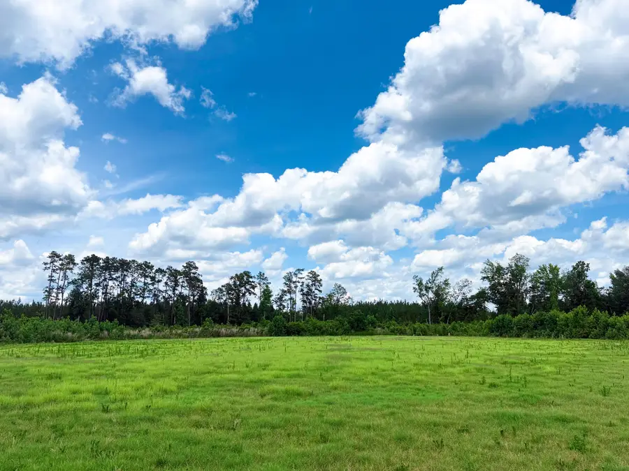 Tbd Eddie Court, Gresham, SC 29546 - #3
