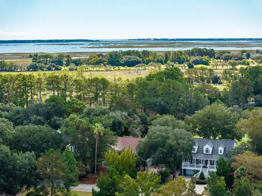 3559 Somerset Hills Court, Mount Pleasant, SC 29466 - #2