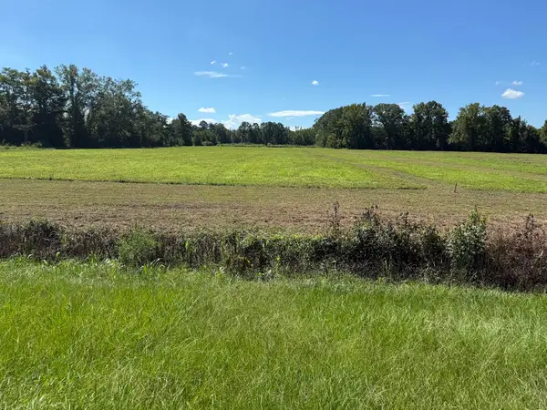 15860 Ace Basin (lot #1) Parkway, Jacksonboro, SC 29452