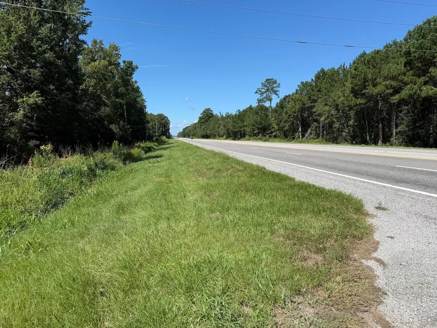15860 Ace Basin (lot #1) Parkway, Jacksonboro, SC 29452 - #2