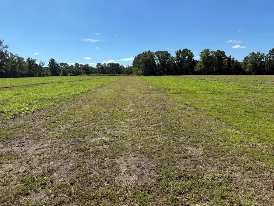 15828 Ace Basin (lot#2) Parkway, Round O, SC 29474 - #2