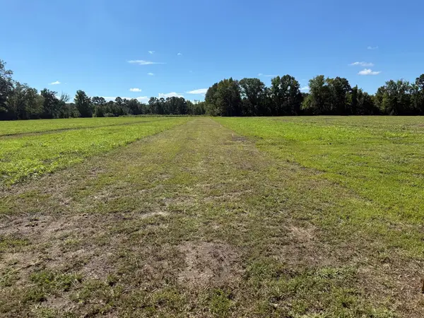15844 Ace Basin (lot #3) Parkway, Round O, SC 29474