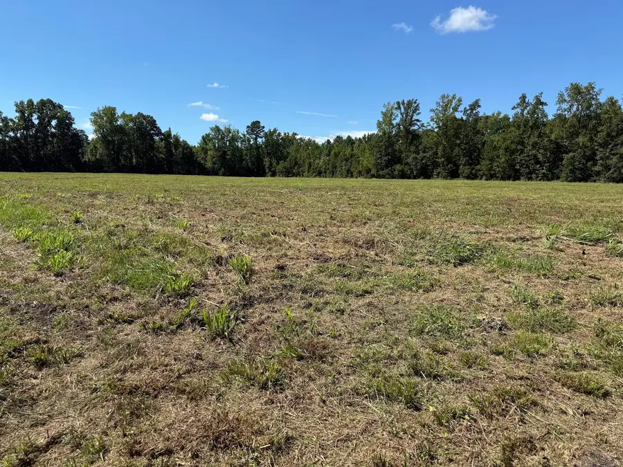 15844 Ace Basin (lot #3) Parkway, Round O, SC 29474 - #2