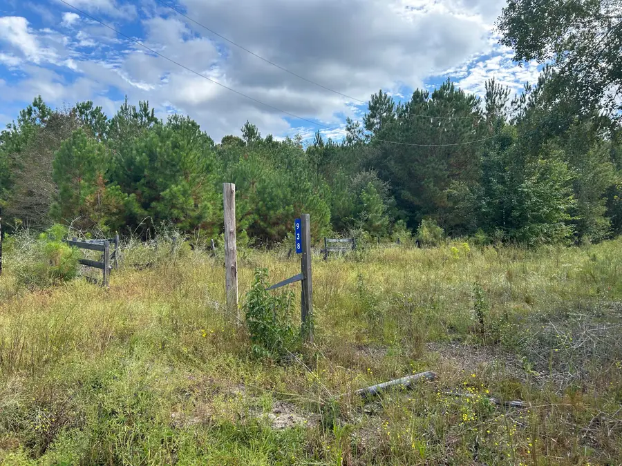 938 Mars Old, Cottageville, SC 29435 - #3
