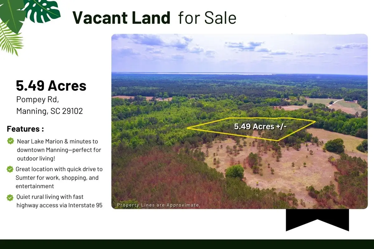 6 Pompey Road, Manning, SC 29102 - #1