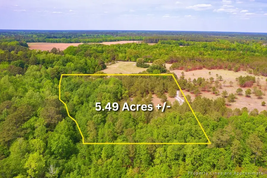 6 Pompey Road, Manning, SC 29102 - #2