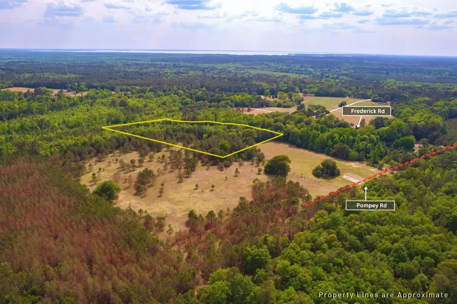 6 Pompey Road, Manning, SC 29102 - #3