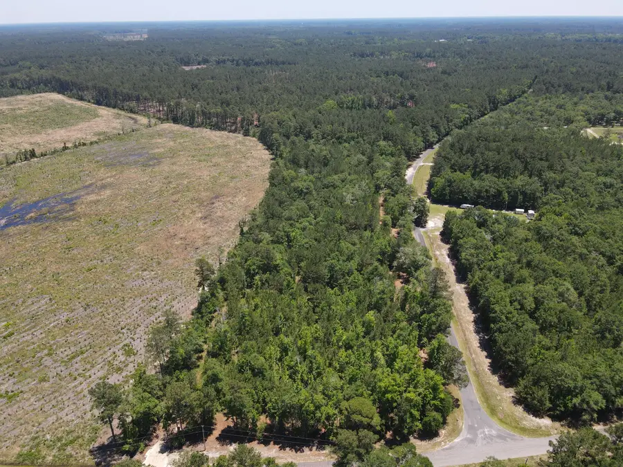 000 Tumbleweed Road, Smoaks, SC 29481 - #2