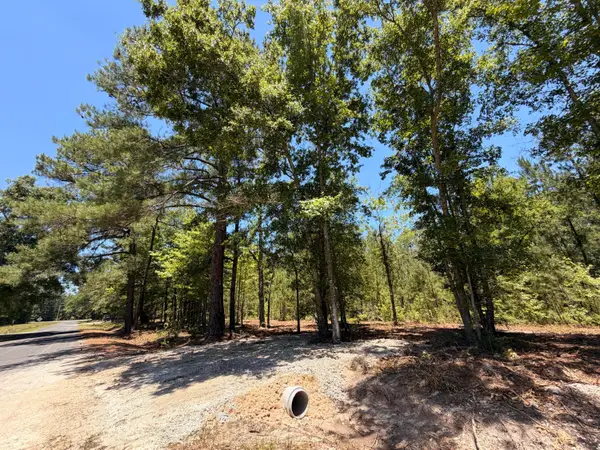 00000 Tumbleweed Road, Smoaks, SC 29481