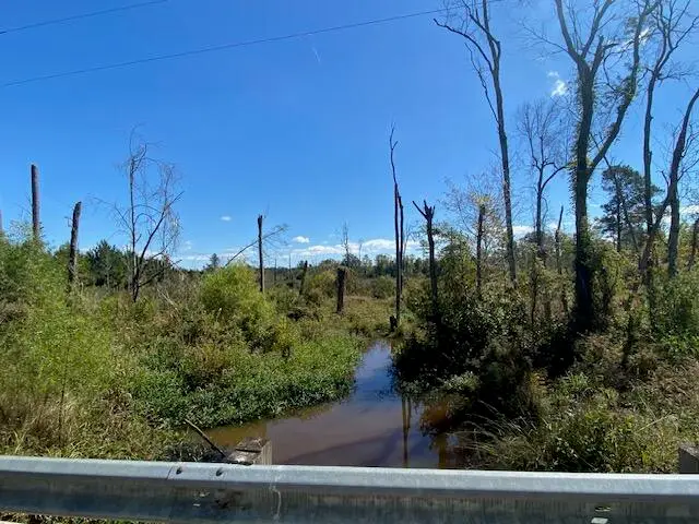 00 Todd Creek Rd And Wisp Rd, Neeses, SC 29107 - #3