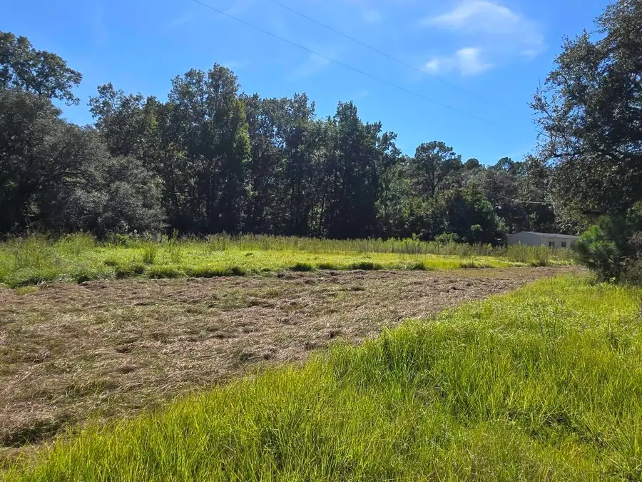 487 Rectory Hill Road, Moncks Corner, SC 29461 - #2