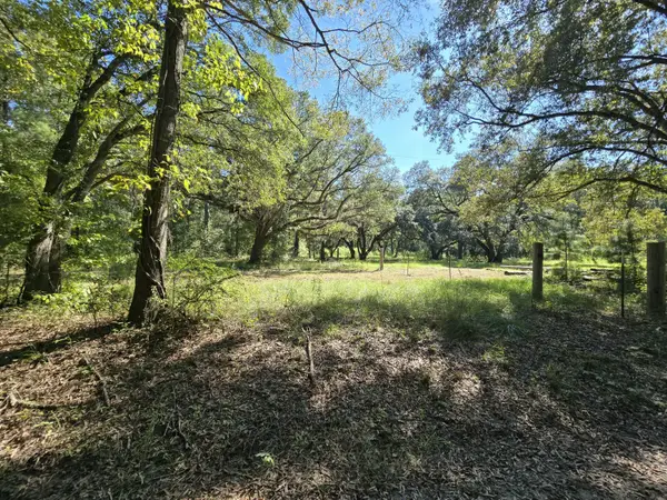 497 Rectory Hill Road, Moncks Corner, SC 29461