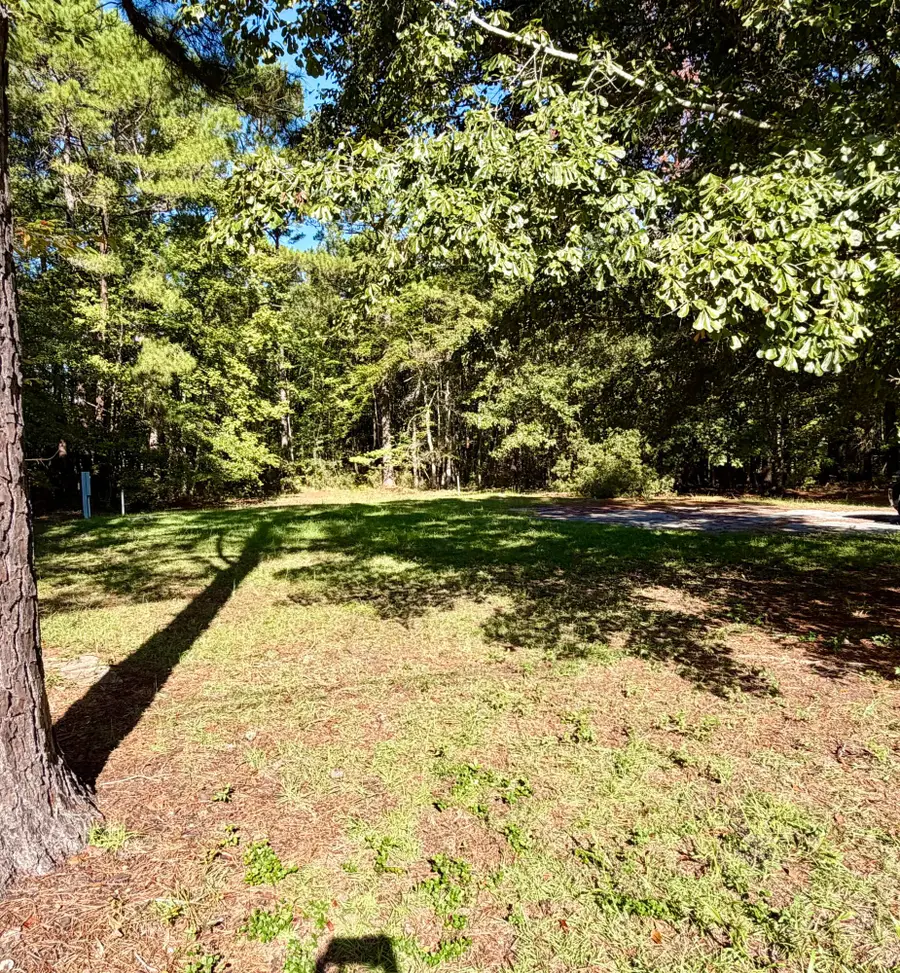 109 Summer Duck Lane, Bonneau, SC 29431 - #3