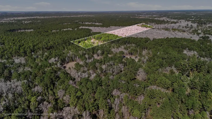 000 Gertie Lane, Cordesville, SC 29434 - #2