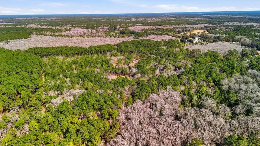000 Gertie Lane, Cordesville, SC 29434 - #3