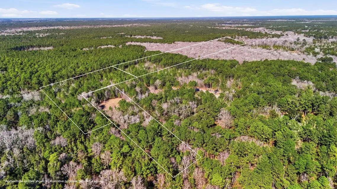 0000 Gertie Lane, Cordesville, SC 29434 - #1