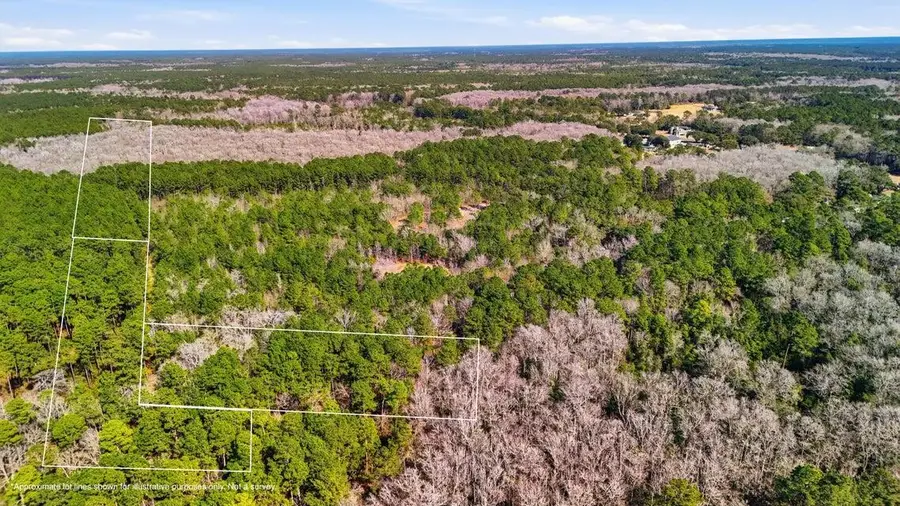 0000 Gertie Lane, Cordesville, SC 29434 - #3