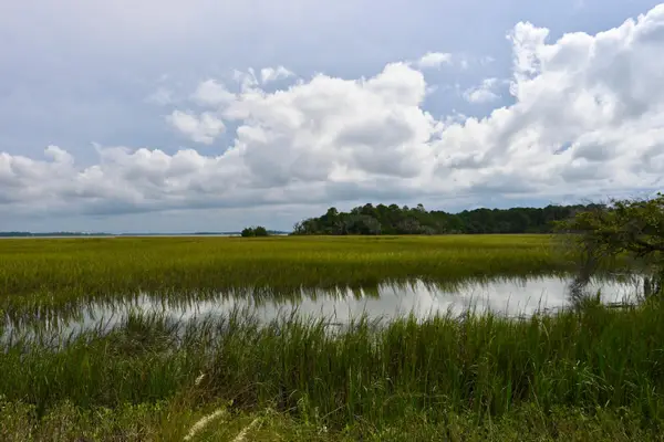 #18 Hopkins Place Drive #18, Edisto Island, SC 29438
