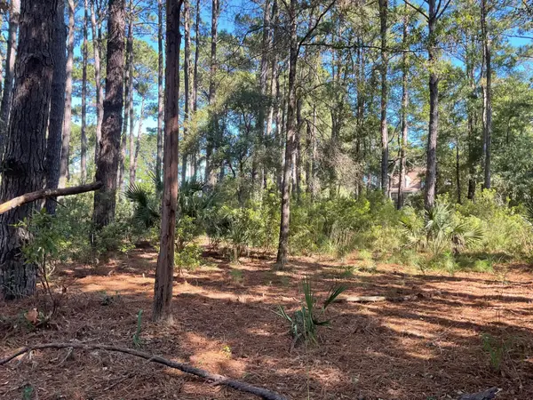 8366 Palmetto Road, Edisto Island, SC 29438