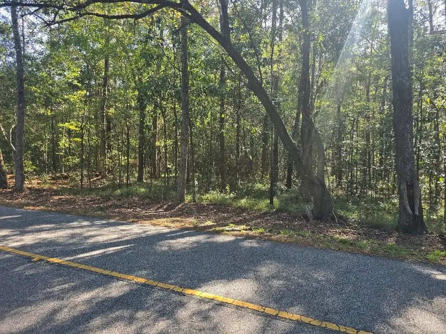 2442 Peirce Road, Cottageville, SC 29435 - #3