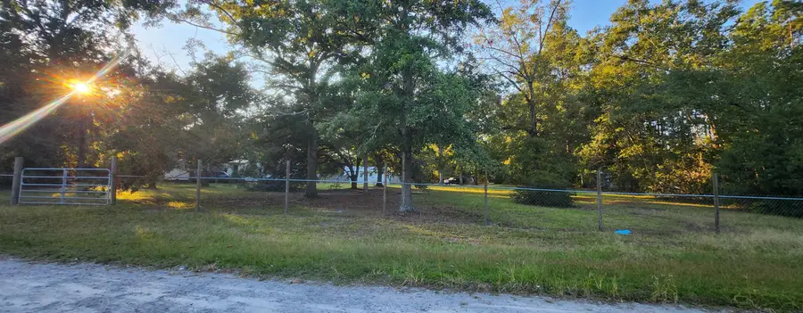 93 Ramsey Hill Drive, Walterboro, SC 29488 - #3