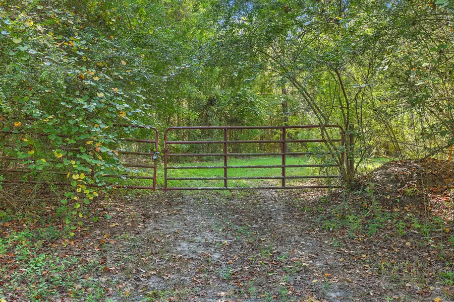 9750 Cottageville Highway, Cottageville, SC 29435 - #2