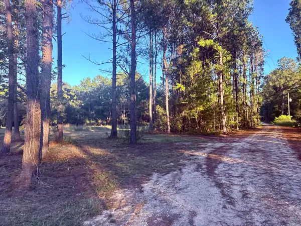 312 Heaven Drive, Saint Stephen, SC 29479
