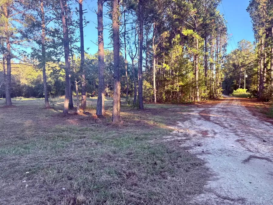 312 Heaven Drive, Saint Stephen, SC 29479 - #2