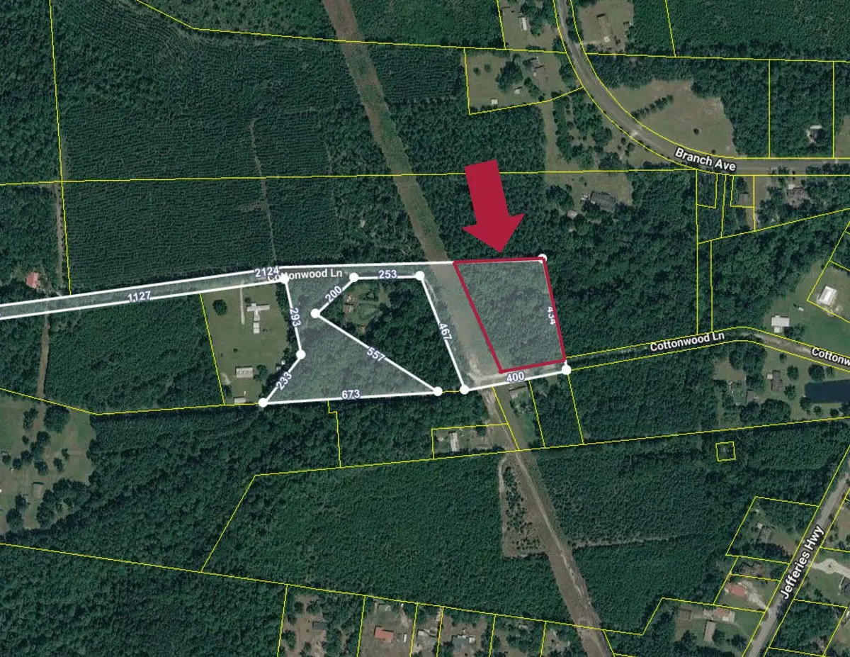 0 Cottonwood Lane, Walterboro, SC 29488 - #1