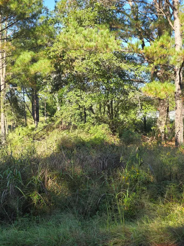 000 N Of Highway 6 Road, Vance, SC 29163