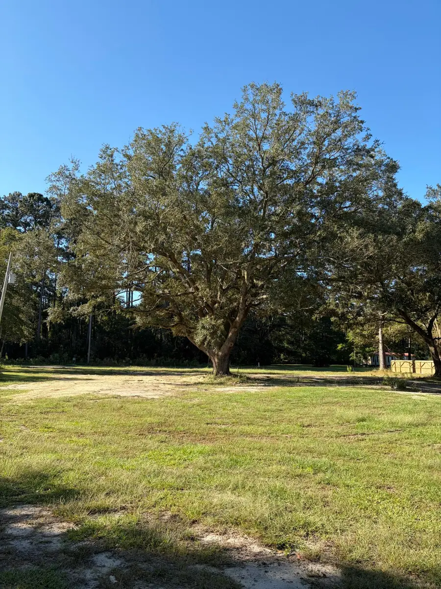 15259 Bennetts Point Road, Green Pond, SC 29446 - #2