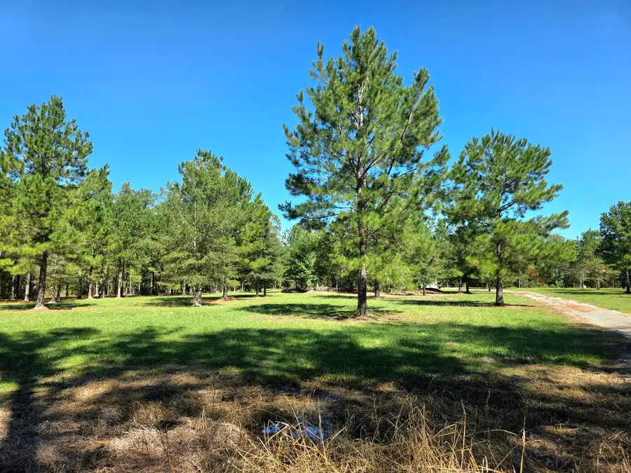 368 Whites Avenue, Cottageville, SC 29435 - #2
