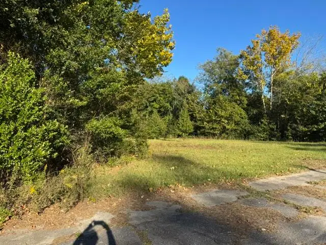 0 Charleston Highway #02462004011000, Bowman, SC 29018 - #1
