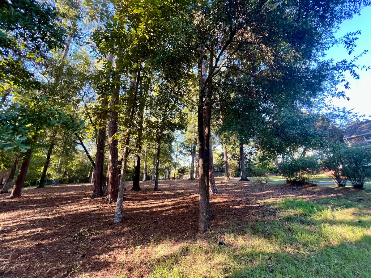 0 Churchill Road, Walterboro, SC 29488 - #1