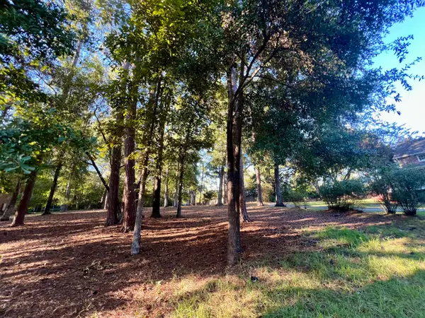 0 Churchill Road, Walterboro, SC 29488