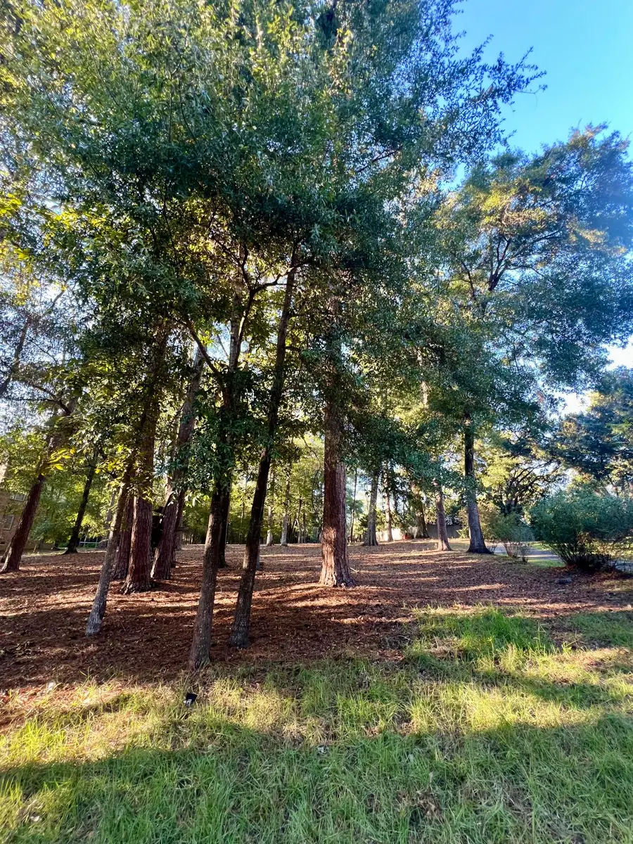 0 Churchill Road, Walterboro, SC 29488 - #3